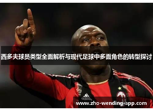 西多夫球员类型全面解析与现代足球中多面角色的转型探讨