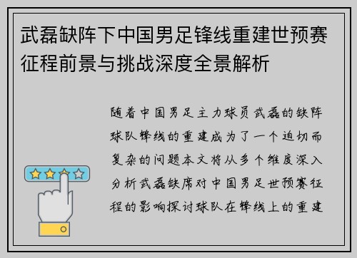武磊缺阵下中国男足锋线重建世预赛征程前景与挑战深度全景解析