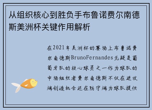 从组织核心到胜负手布鲁诺费尔南德斯美洲杯关键作用解析